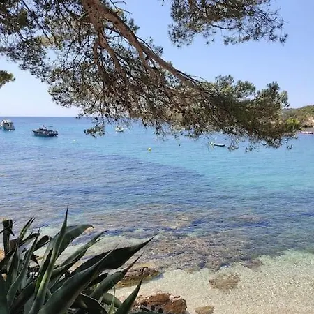 Sur Jardin, Vue Hyeres